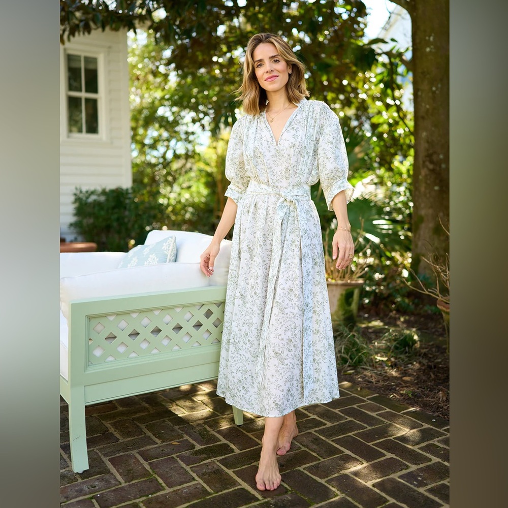 Parterre Charlotte day gown. EUC